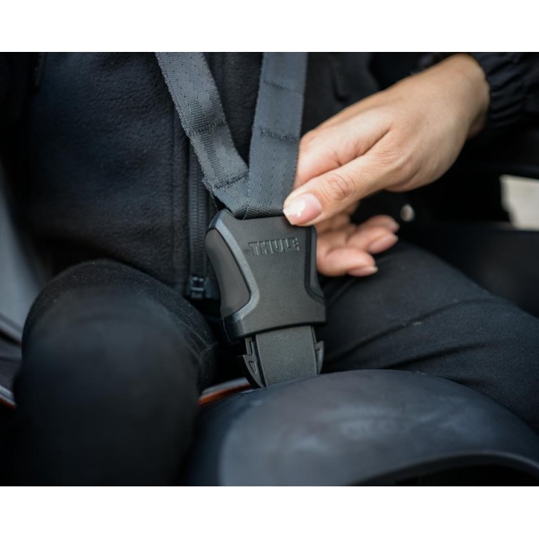Thule RideAlong2 Zen Lime kerékpár gyermekülés, hátsó, Thule 100208
